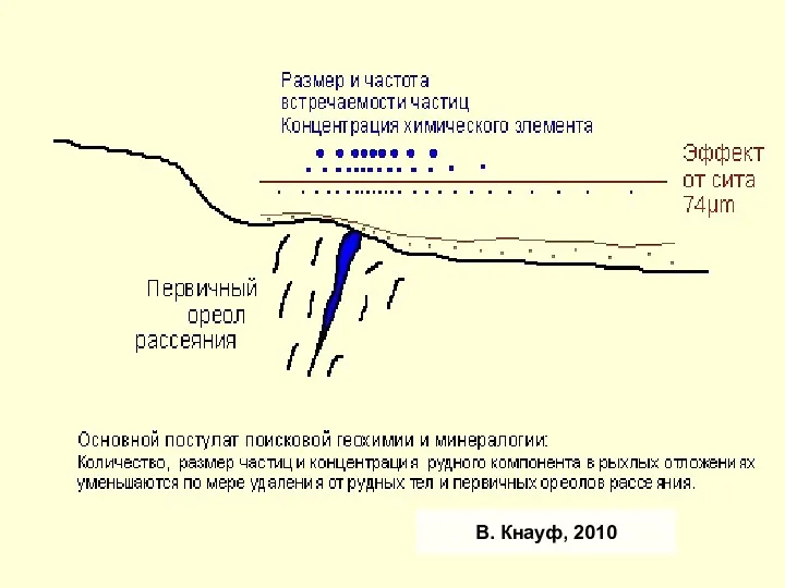 В. Кнауф, 2010