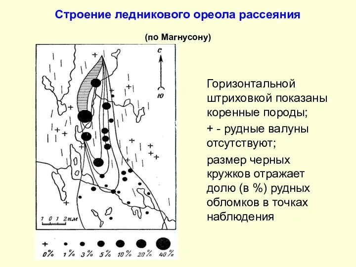 Строение ледникового ореола рассеяния (по Магнусону) Горизонтальной штриховкой показаны коренные