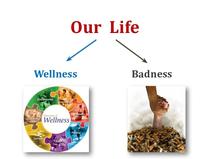 Our Life Badness Wellness