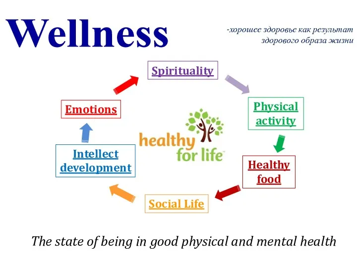 Wellness The state of being in good physical and mental
