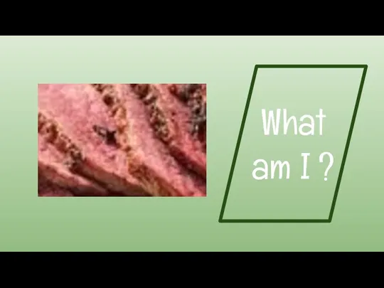 What am I ?