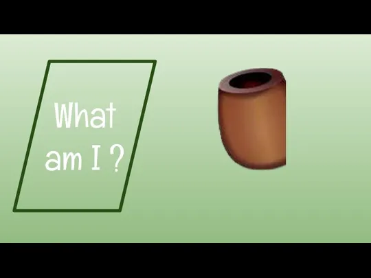 What am I ?