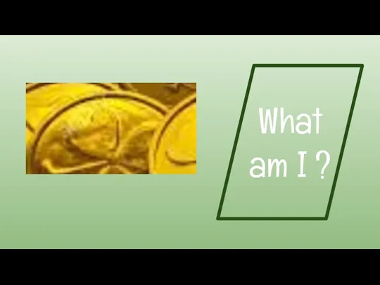 What am I ?