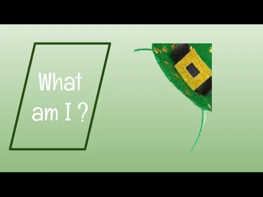 What am I ?