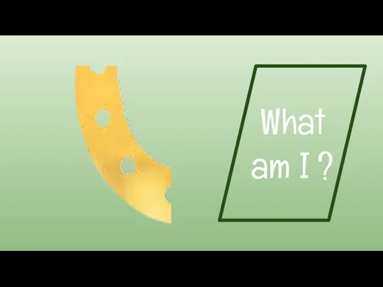 What am I ?