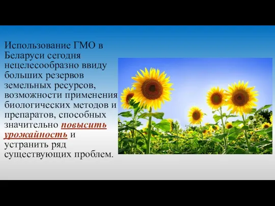 Использование ГМО в Беларуси сегодня нецелесообразно ввиду больших резервов земельных