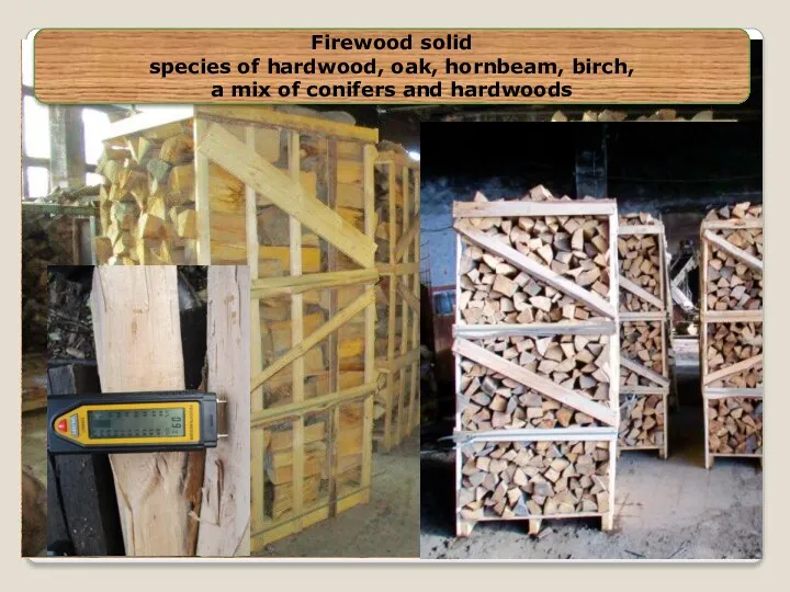Firewood solid species of hardwood, oak, hornbeam, birch, a mix of conifers and hardwoods