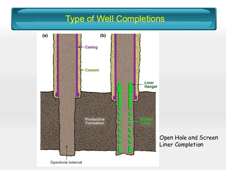 Type of Well Completions Open Hole and Screen Liner Completion