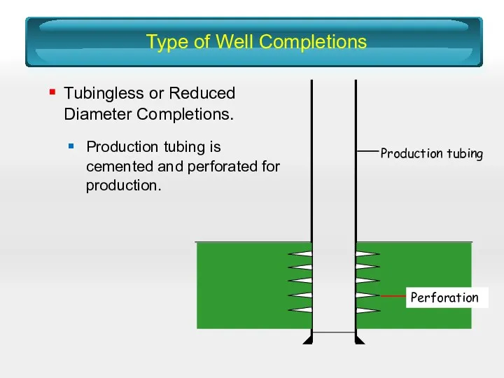 Type of Well Completions Tubingless or Reduced Diameter Completions. Production