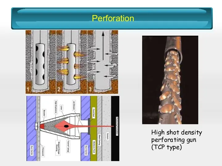 Perforation High shot density perforating gun (TCP type)