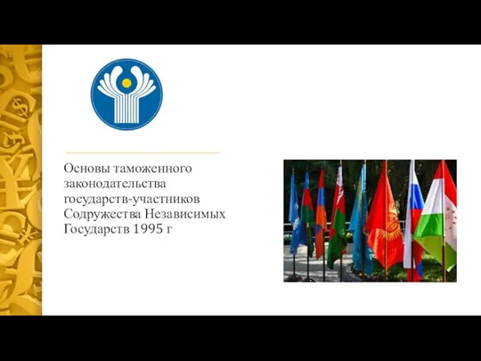 Основы таможенного законодательства государств-участников Содружества Независимых Государств 1995 г
