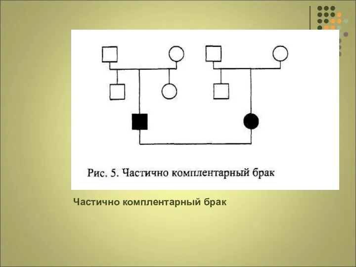 Частично комплентарный брак