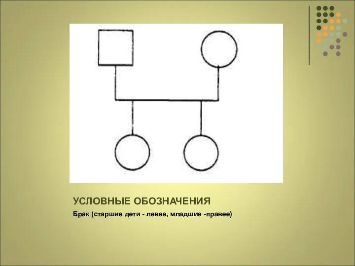 УСЛОВНЫЕ ОБОЗНАЧЕНИЯ Брак (старшие дети - левее, младшие -правее)