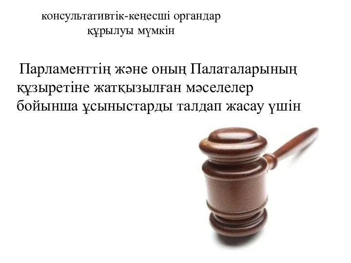 консультативтік-кеңесші органдар құрылуы мүмкін Парламенттің және оның Палаталарының құзыретіне жатқызылған мәселелер бойынша ұсыныстарды талдап жасау үшін