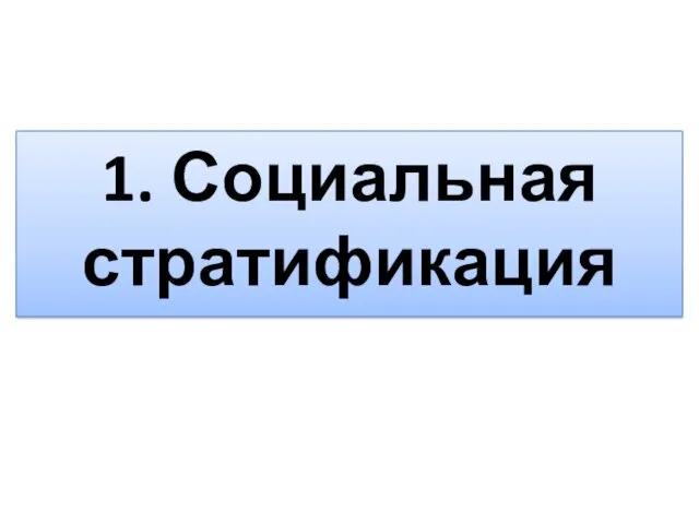 1. Социальная стратификация