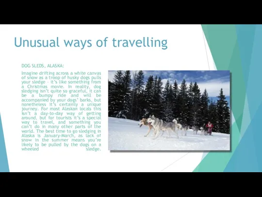 Unusual ways of travelling DOG SLEDS, ALASKA: Imagine drifting across