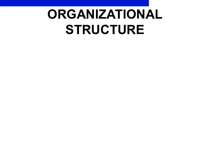 ORGANIZATIONAL STRUCTURE