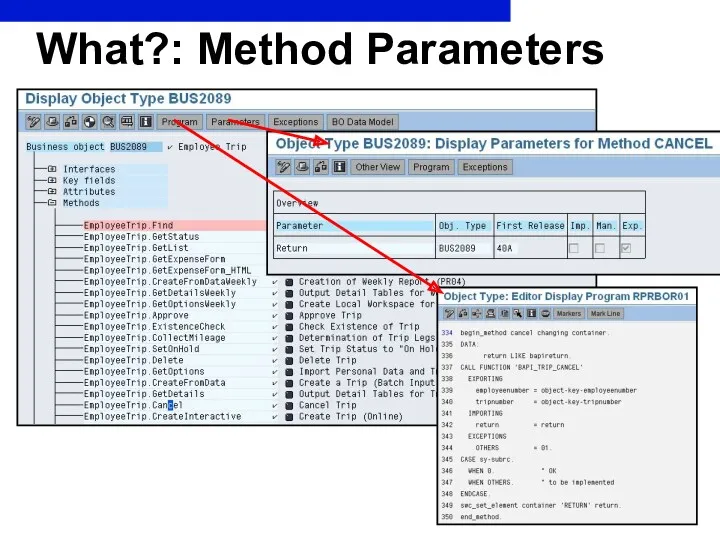 What?: Method Parameters