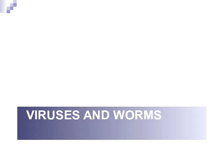 VIRUSES AND WORMS