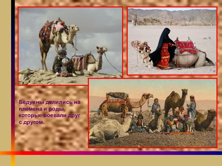 Бедуины делились на племена и роды, которые воевали друг с другом.