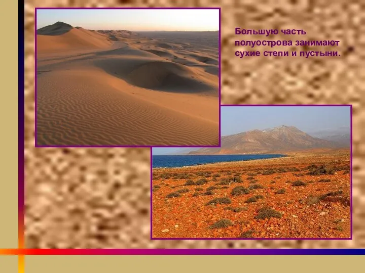 Большую часть полуострова занимают сухие степи и пустыни.