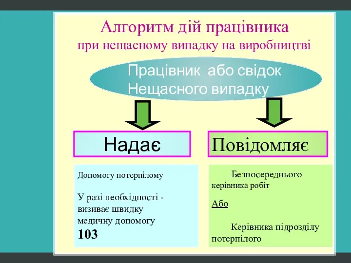 Алгоритм дій працівника при нещасному випадку на виробництві Працівник або