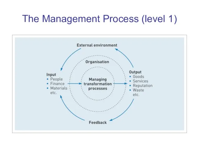 The Management Process (level 1)