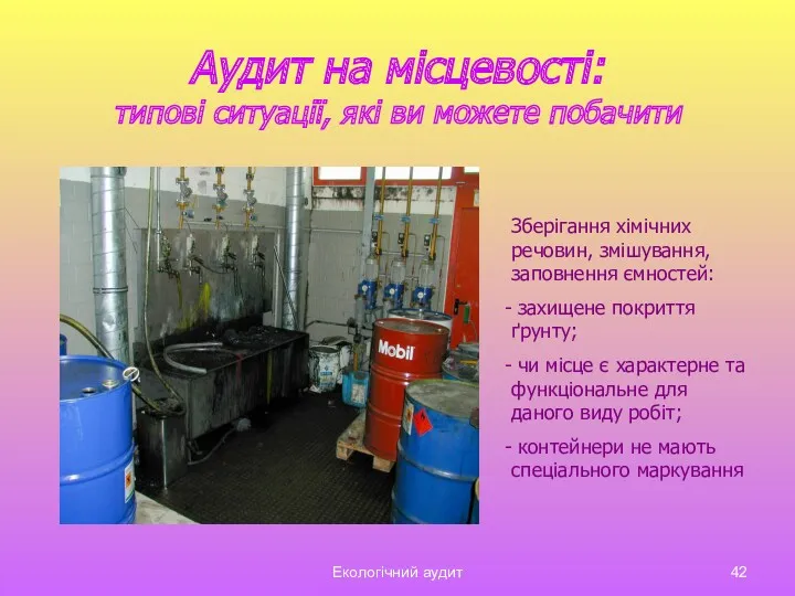 Екологічний аудит Аудит на місцевості: типові ситуації, які ви можете