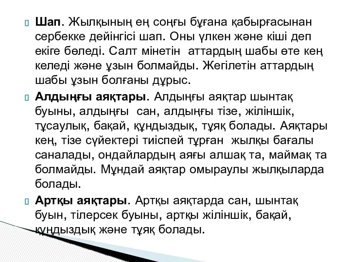 Шап. Жылқының ең соңғы бұғана қабырғасынан сербекке дейінгісі шап. Оны