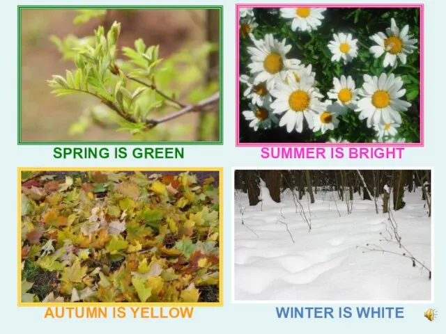 SPRING IS GREEN SUMMER IS BRIGHT AUTUMN IS YELLOW WINTER IS WHITE