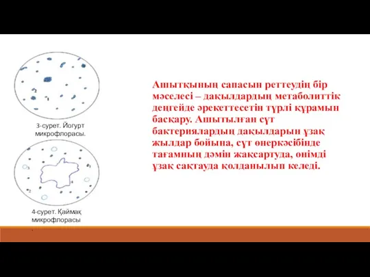 Ашытқының сапасын реттеудің бір мәселесі – дақылдардың метаболиттік деңгейде әрекеттесетін