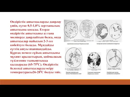 Өндірістік ашытқыларды даярлау үшін, сүтке 0,5-1,0% зертханалық ашытқына қосады. Егерде