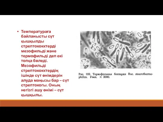 Температураға байланысты сүт қышқылды стрептококктерді мезофильді және термофильді деп екі