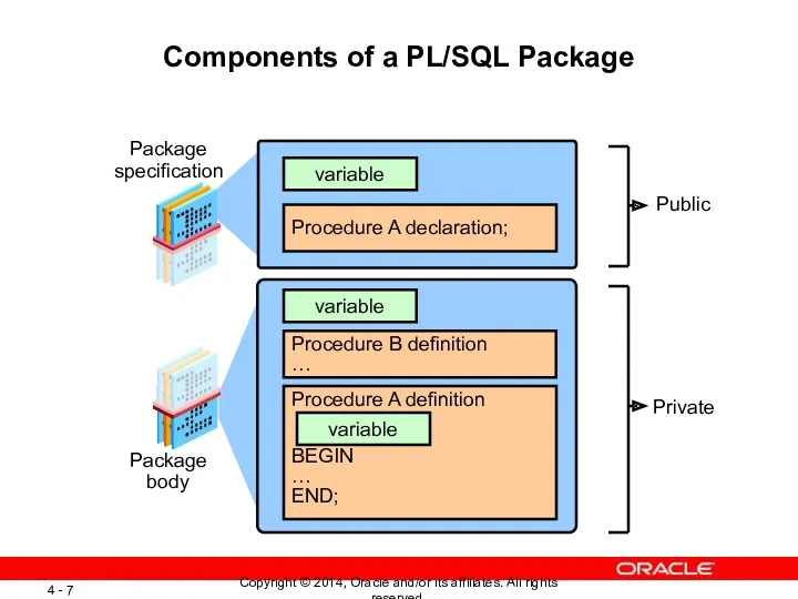 Components of a PL/SQL Package Procedure A declaration; variable Procedure