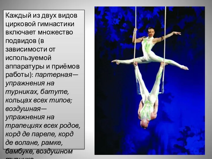 Каждый из двух видов цирковой гимнастики включает множество подвидов (в