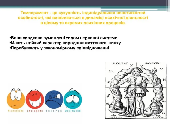 Вони спадково зумовлені типом нервової системи Мають стійкий характер впродовж