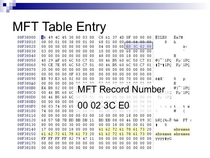 MFT Table Entry MFT Record Number 00 02 3C E0