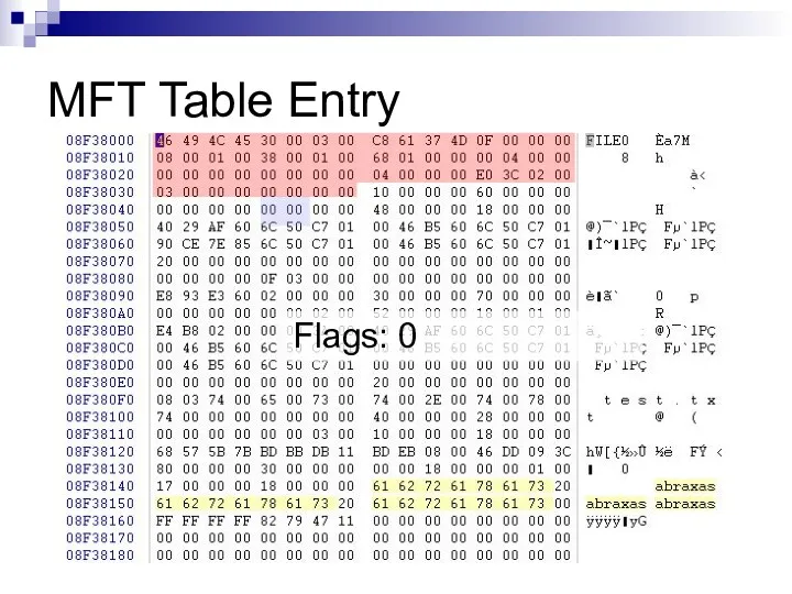 MFT Table Entry Flags: 0