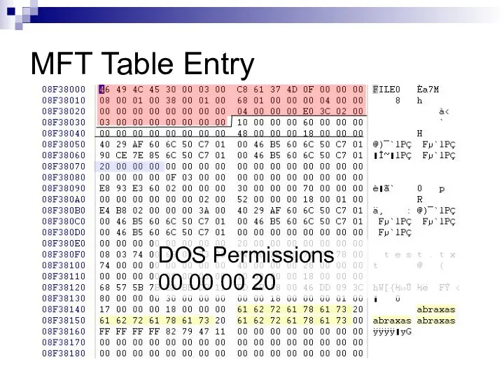MFT Table Entry DOS Permissions 00 00 00 20