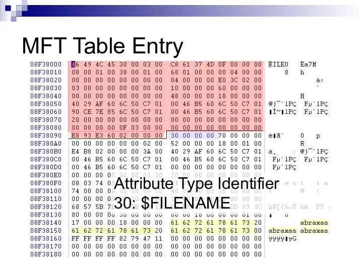 MFT Table Entry Attribute Type Identifier 30: $FILENAME