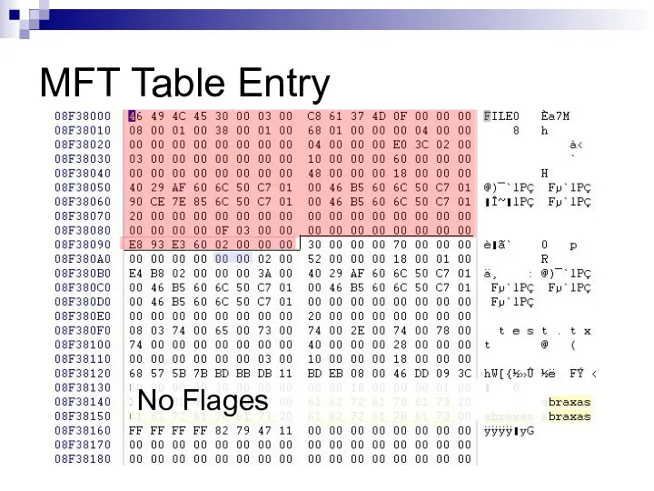 MFT Table Entry No Flages