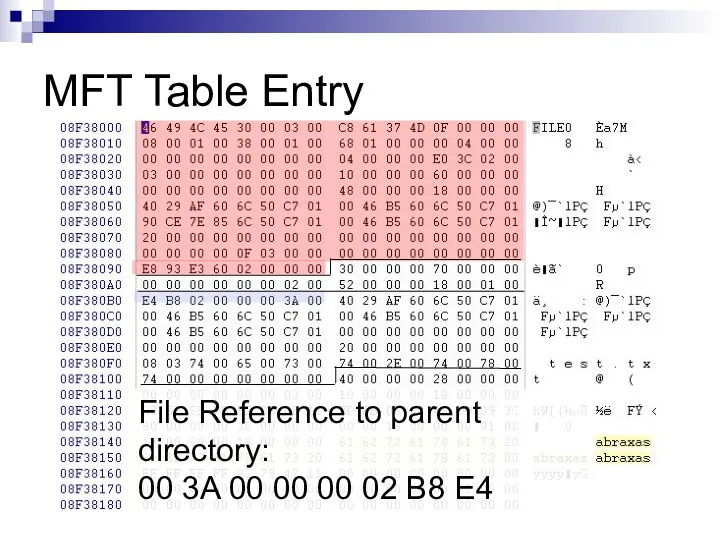 MFT Table Entry File Reference to parent directory: 00 3A 00 00 00 02 B8 E4