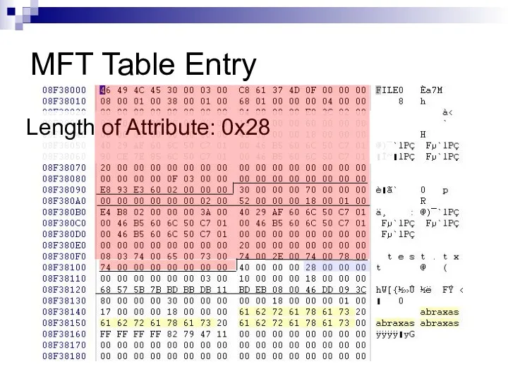 MFT Table Entry Length of Attribute: 0x28