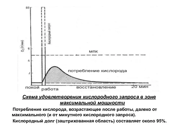 Схема удовлетворения кислородного запроса в зоне максимальной мощности Потребление кислорода,