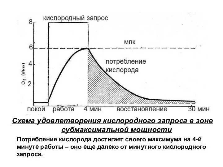 Схема удовлетворения кислородного запроса в зоне субмаксимальной мощности Потребление кислорода