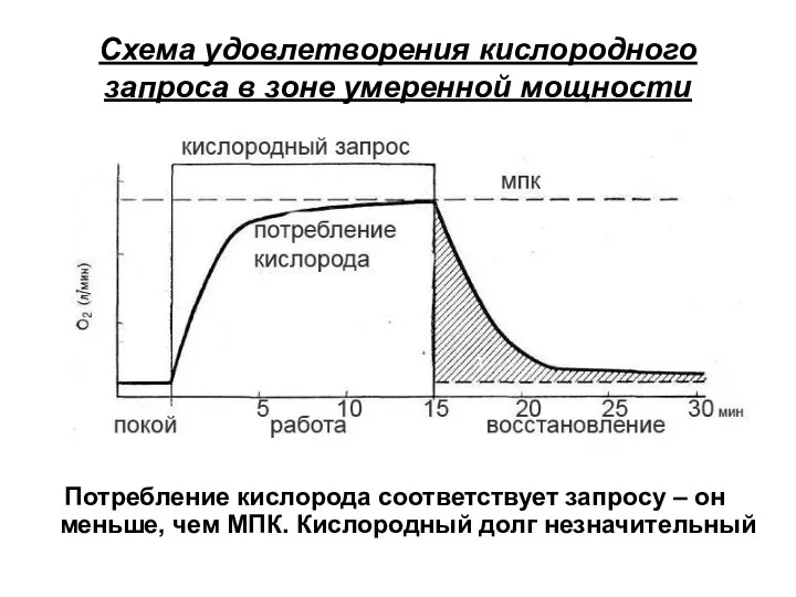 Схема удовлетворения кислородного запроса в зоне умеренной мощности Потребление кислорода