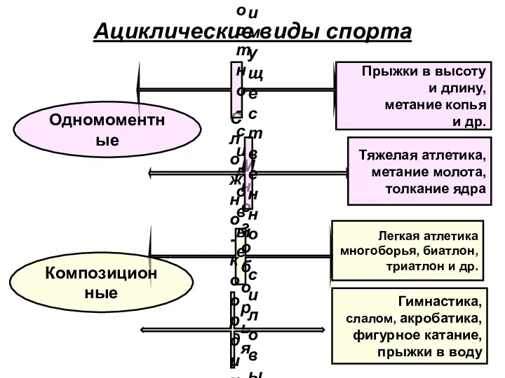 Ациклические виды спорта Гимнастика, слалом, акробатика, фигурное катание, прыжки в