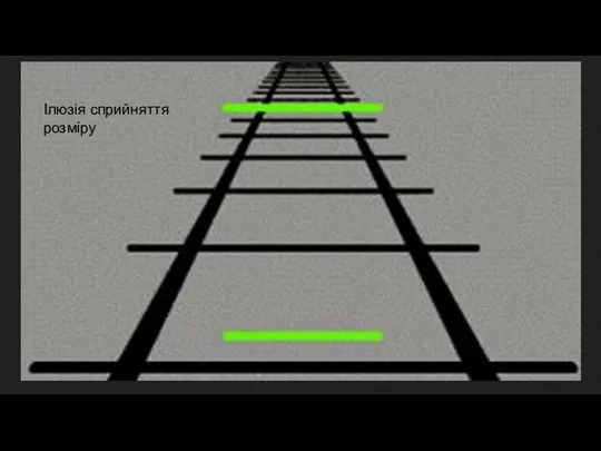 Ілюзія сприйняття розміру