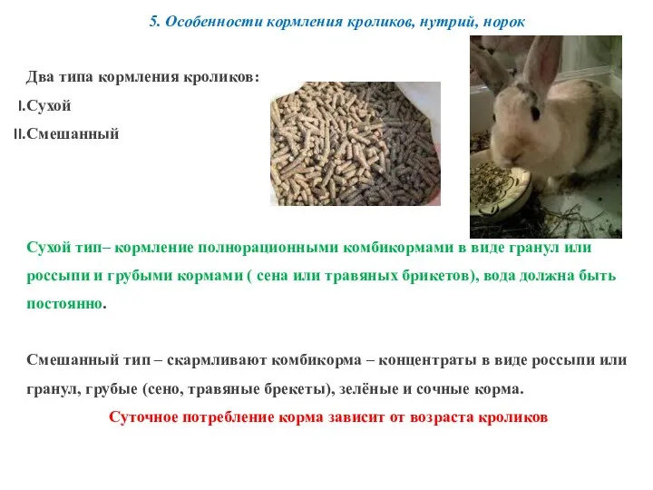 5. Особенности кормления кроликов, нутрий, норок Два типа кормления кроликов: