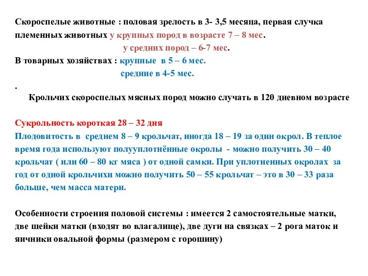 Скороспелые животные : половая зрелость в 3- 3,5 месяца, первая